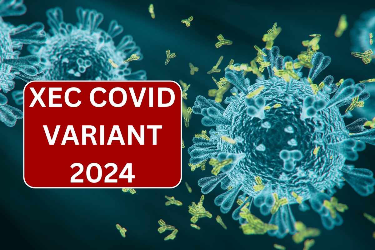 XEC Covid Variant 2024, Know Symptoms, Treatment & Number Of Cases