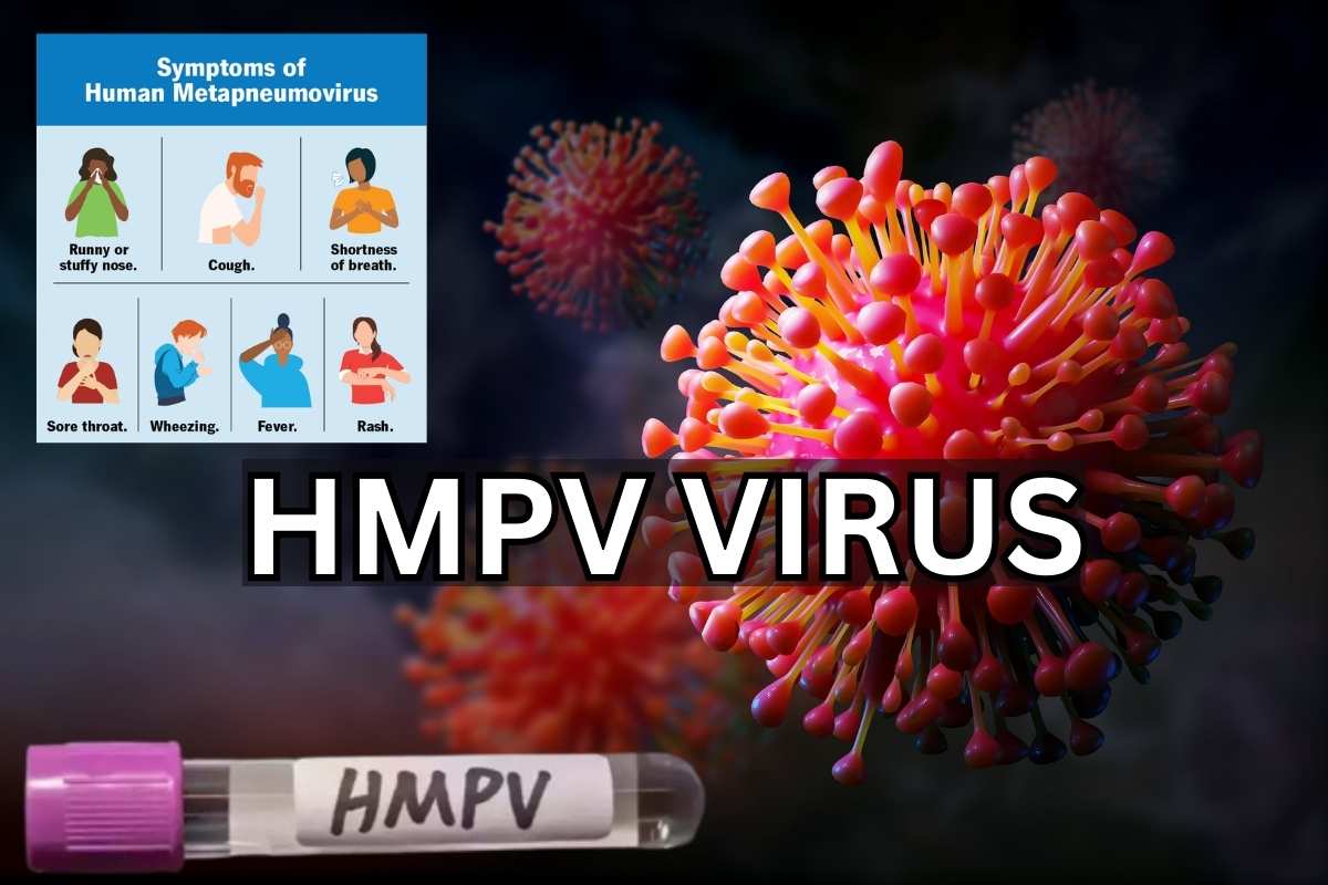 HMPV Virus